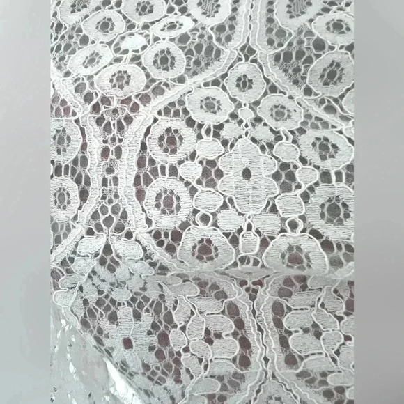 Amaryllis Lace High Neck Blouse Ruffles Long Sleeve New Romantic Sheer - Picture 9 of 15